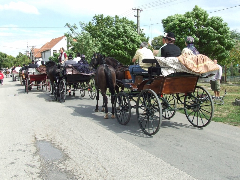 DSCF9981 (Medium).JPG